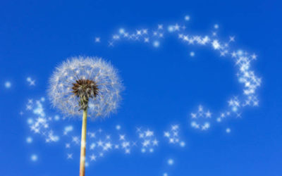 DEUIL,PERTES et SEPARATION