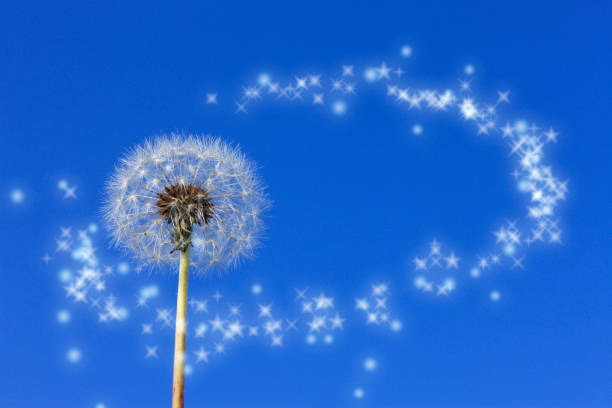 DEUIL,PERTES et SEPARATION